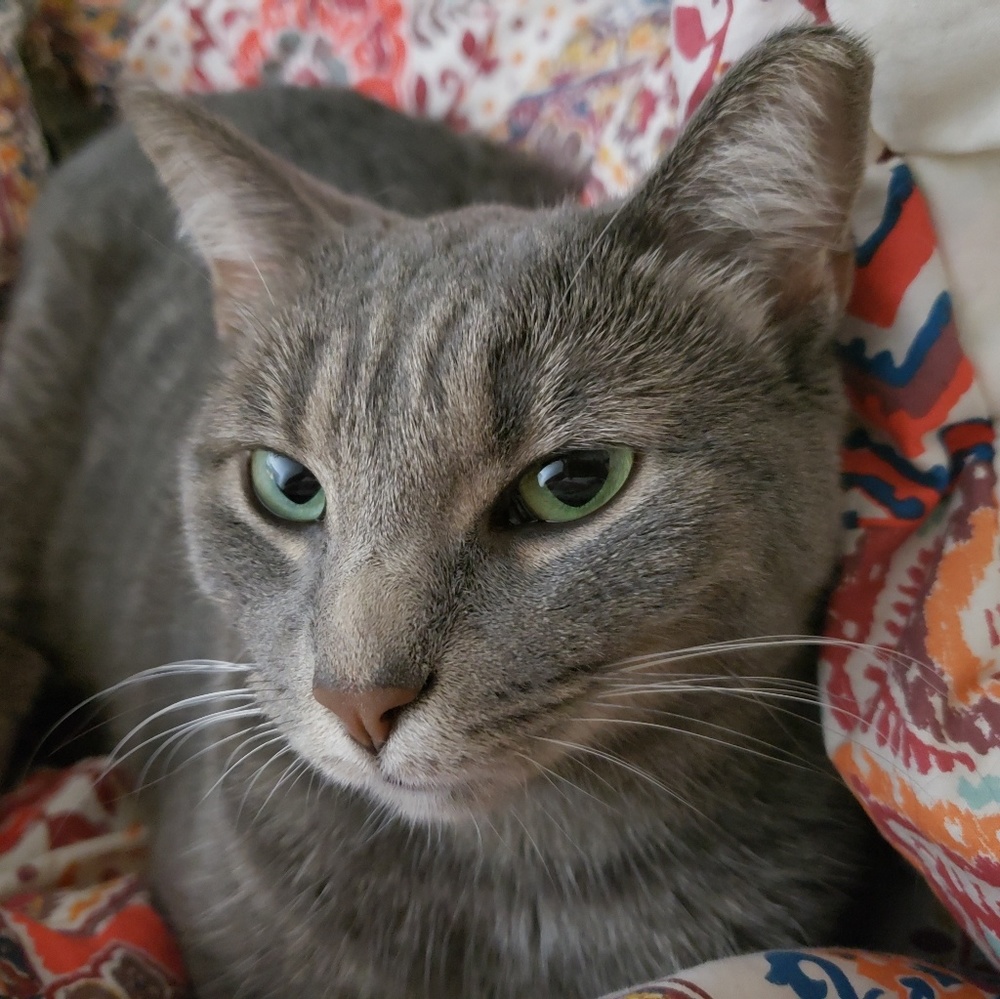 Meet your Posher, Mia